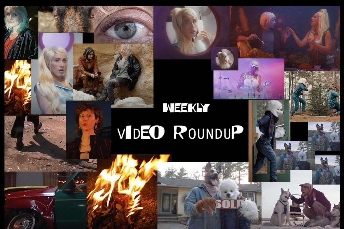 VIDEO PICKS: Mega Bog, Ralph, Squirrel Flower, TOLEDO