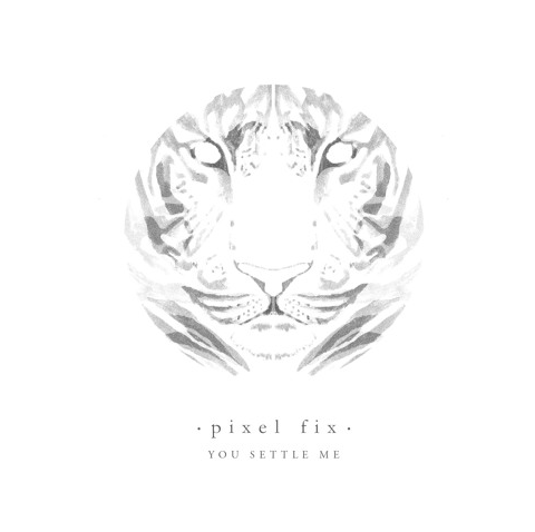 SONG PICK: Pixel Fix - Settle Me