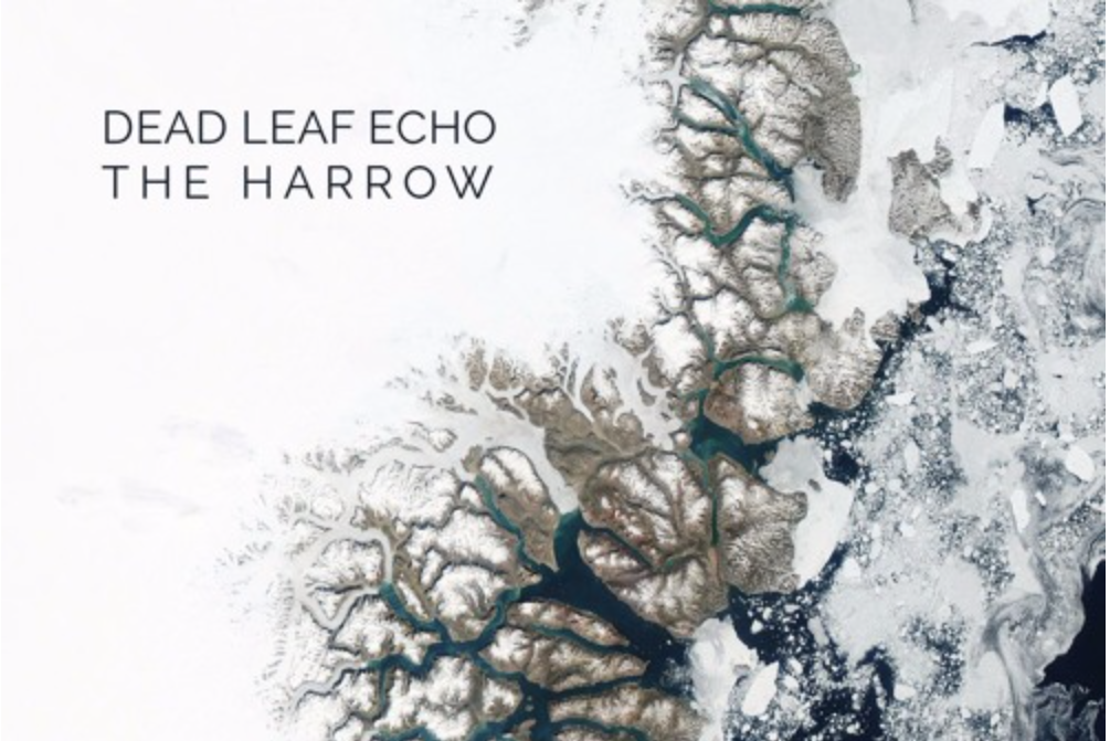 NEW FROM BROOKLYN: Dead Leaf Echo - Child.Glass.Heart