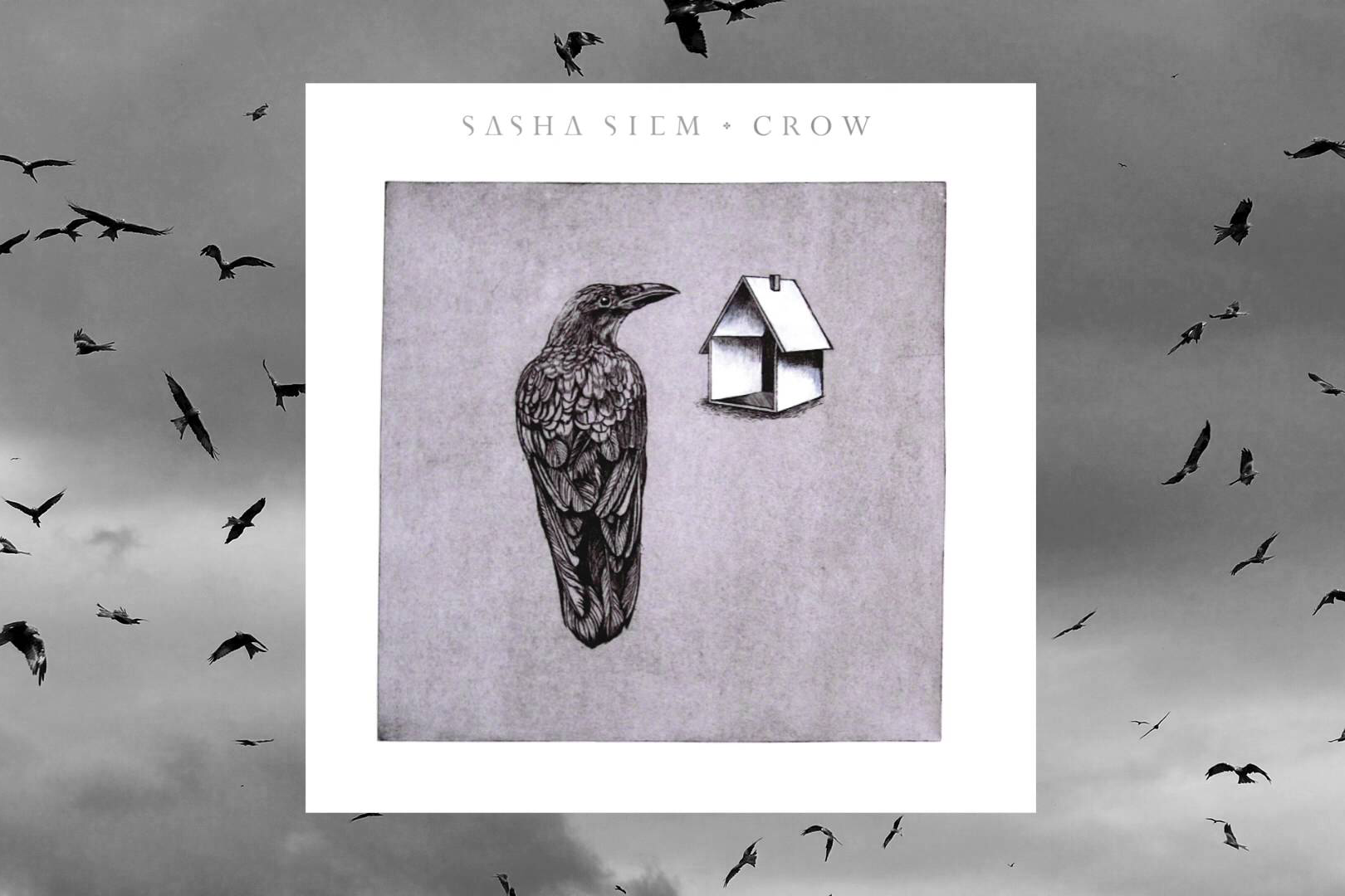 NEW TRACK: Sasha Siem - Crow