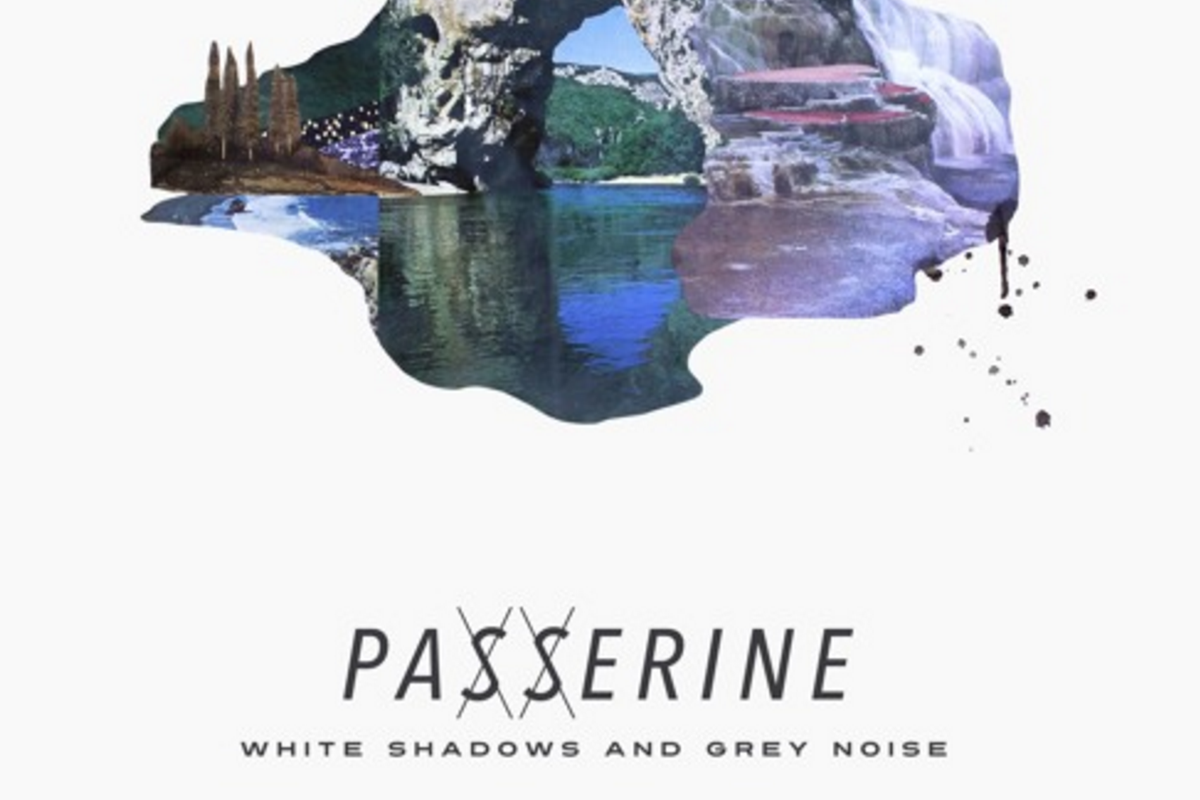 LATE NIGHT: Passerine - White Shadows and Grey Noise