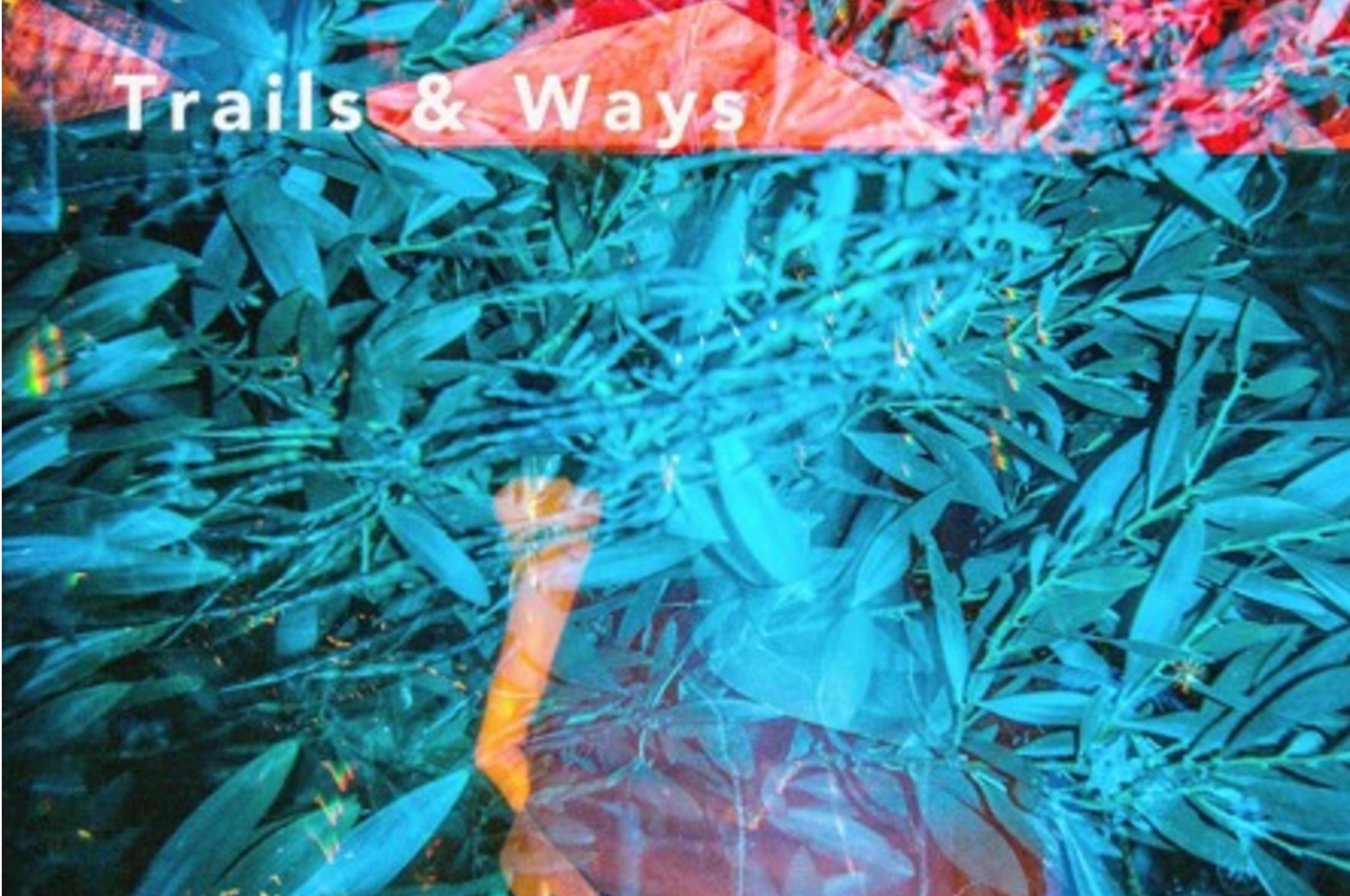 SONG PICK: Trails and Ways - Happiness