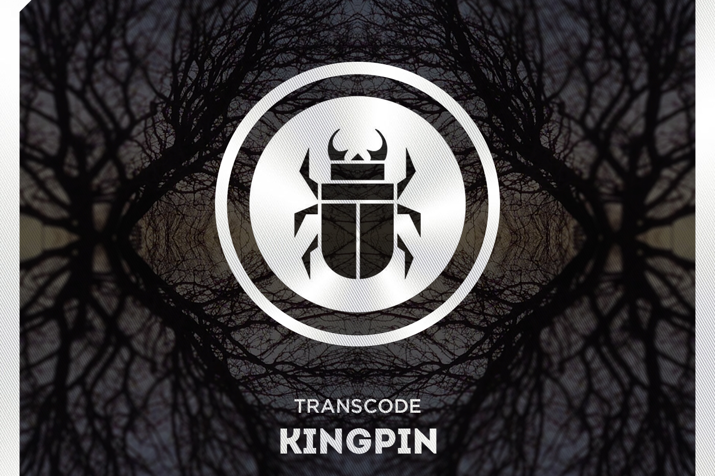 NEW MUSIC: Transcode - Kingpin