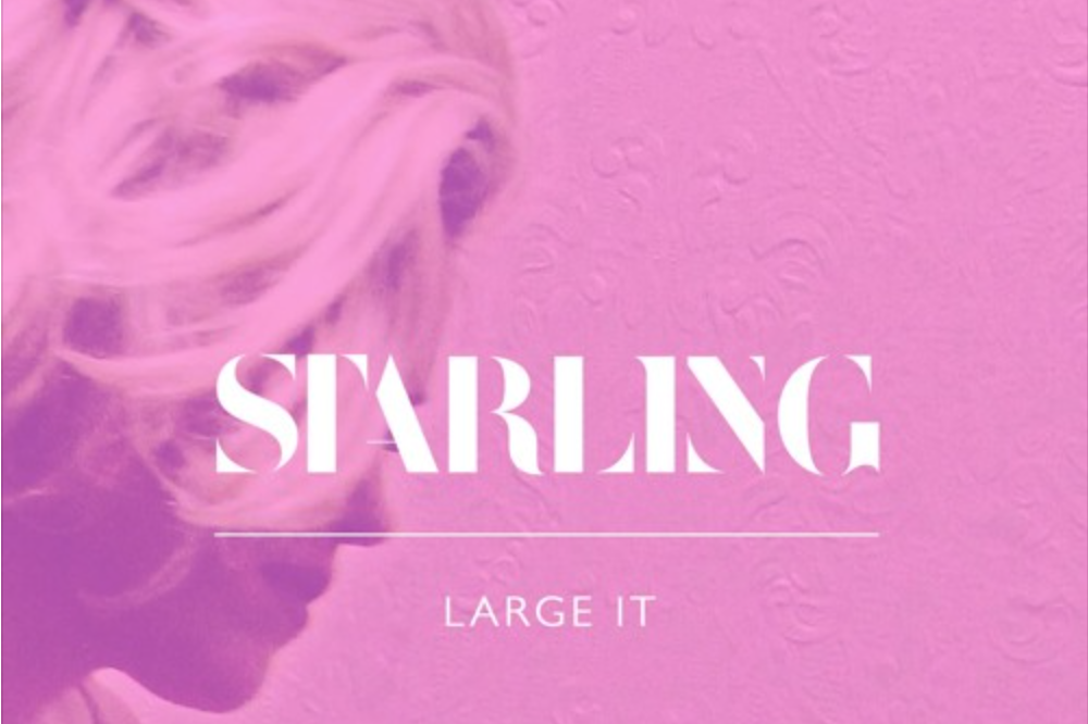 SONG PICK: Starling - Large It