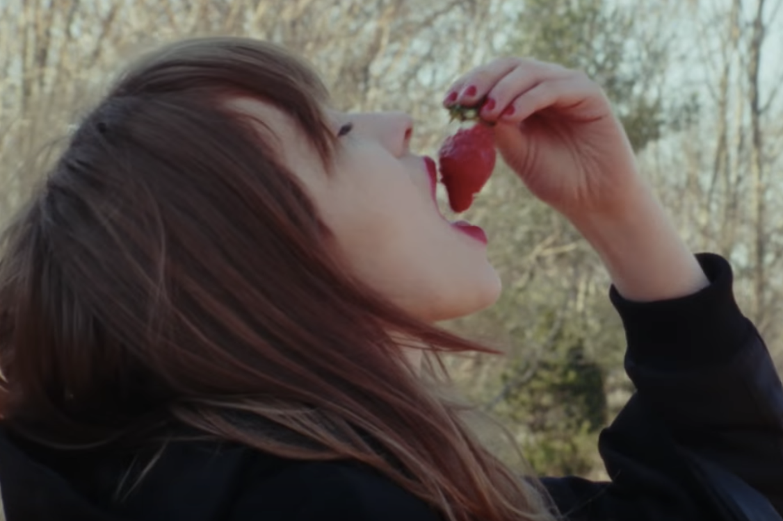 NEW MUSIC: Dead Leaf Echo - Strawberry Skin (Video)