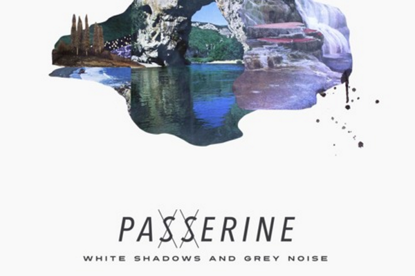 LATE NIGHT: Passerine - White Shadows and Grey Noise