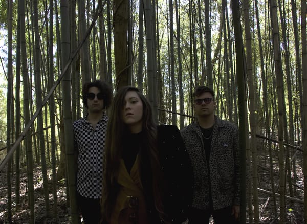 SONG PICK: Reptile Room - Talk (Video)