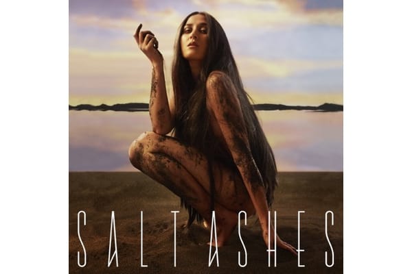 Salt Ashes